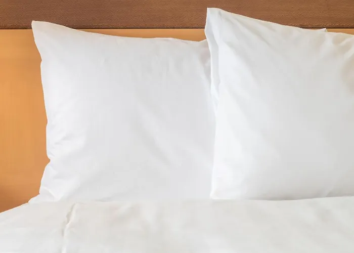 فندق - Istanbul Asia, An Ihg 4*